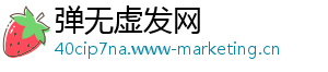 弹无虚发网